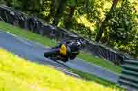 cadwell-no-limits-trackday;cadwell-park;cadwell-park-photographs;cadwell-trackday-photographs;enduro-digital-images;event-digital-images;eventdigitalimages;no-limits-trackdays;peter-wileman-photography;racing-digital-images;trackday-digital-images;trackday-photos